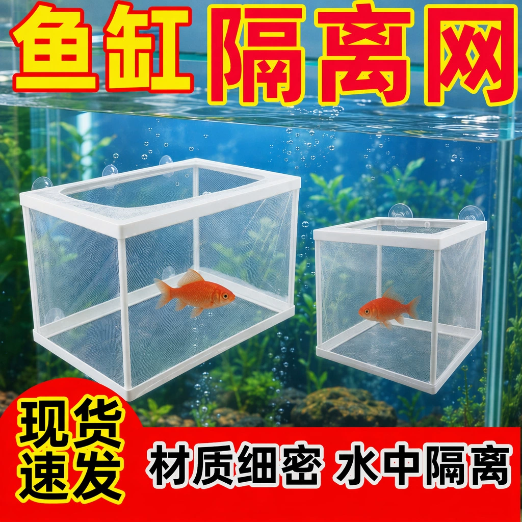 鱼缸隔离网水族隔离盒热带鱼孔雀鱼凤尾孵化繁殖盒带隔板吸盘大小