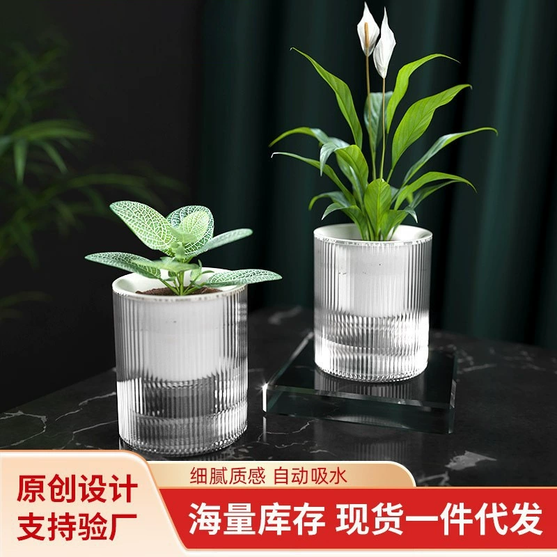 厂家直批懒人绿萝自动吸水花盆可储水透明塑料花盆绿箩盆栽专用