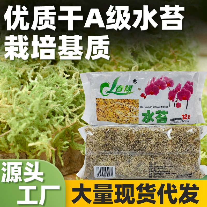 批发干水苔 微景观水苔花卉营养基质土苔藓 兰花多肉爬虫栽培基质