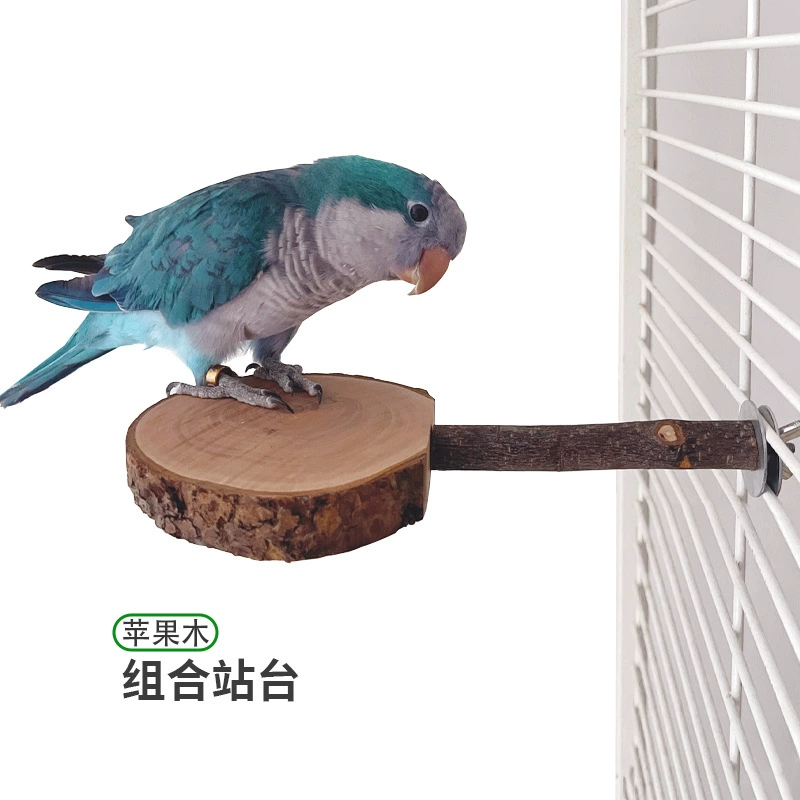 鹦鹉站架鸟类乒乓站台龙猫磨牙苹果木跳台松鼠木质站杆蜜袋鼯跳柱