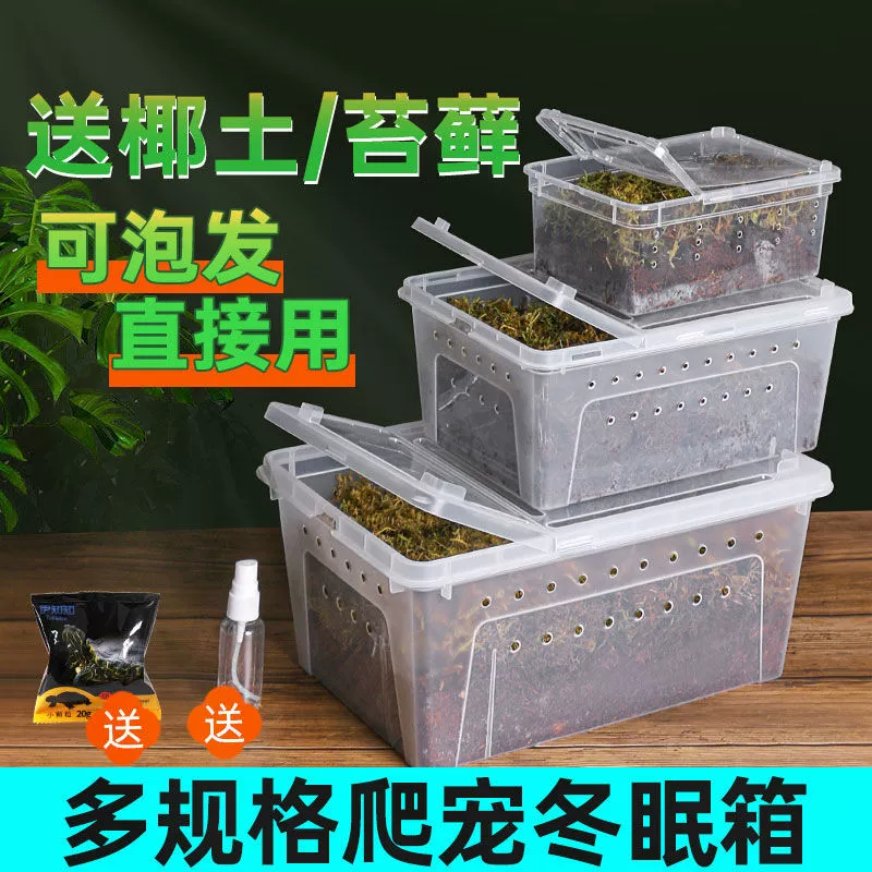 爬虫饲养盒冬眠箱乌龟蜘蛛角蛙蜗牛守宫饲养爬宠箱乌龟缸冬眠生态